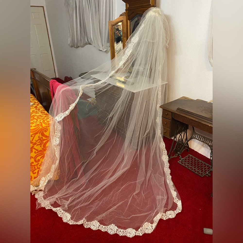 Elegant Lace Trimmed Veil